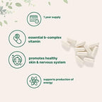 Pantothenic Acid Vitamin B5 Supplement, Vitamin B5 500mg Per Count, 365 Capsules (1 Year Supply), B-Complex Vitamin, Support Energy Production and Nervous System, Non-GMO