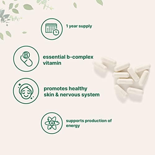 Pantothenic Acid Vitamin B5 Supplement, Vitamin B5 500mg Per Count, 365 Capsules (1 Year Supply), B-Complex Vitamin, Support Energy Production and Nervous System, Non-GMO