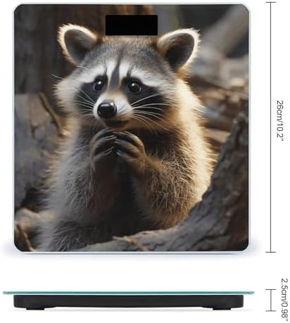 Cute Raccoon Weight Scale High Precision Digital Body Scale Cute Compact Slim Bathroom Scale Sleek Modern Personal Body Weighing Machine for Bedroom Kitchen and Bathroom