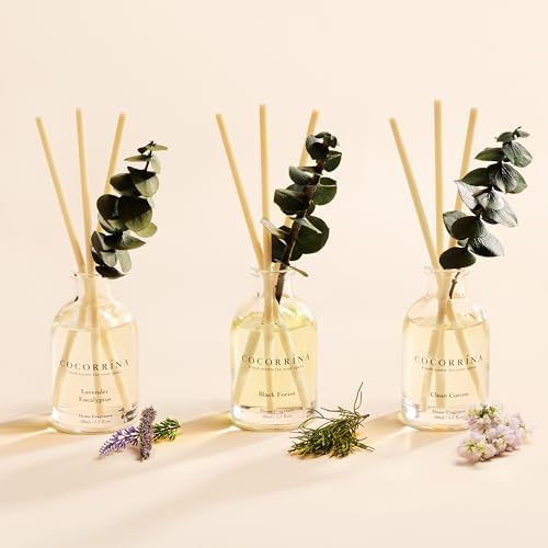 COCORRÍNA Eucalyptus Reed Diffuser Set of 3 - Lavender Eucalyptus, Black Forest, Clean Cotton Scents, 1.7 fl oz Each, Total 5.1 oz, Scented Oil Diffusers for Home & Office