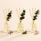 COCORRÍNA Eucalyptus Reed Diffuser Set of 3 - Lavender Eucalyptus, Black Forest, Clean Cotton Scents, 1.7 fl oz Each, Total 5.1 oz, Scented Oil Diffusers for Home & Office