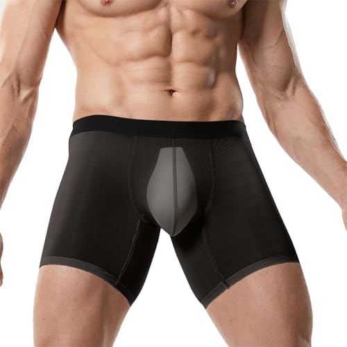 Mens See Through Underwear Mesh Ice Silk Boxers Briefs Transparent Sexy Pouch Underpants Extended Anti Crotch Shorts