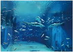 Yongqian 7x5ft Shark Fish Under The Sea World Photography Backdrop Baby Shark Sea Animal Backdrop Birthday Party Decoration Aquarium Ocean Background Photo Booth