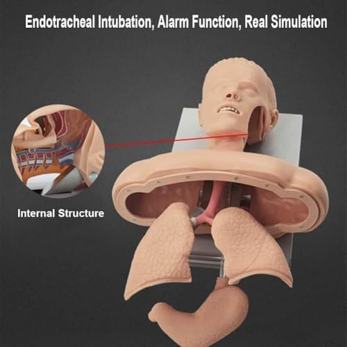 Tracheal Intubation Strain Training Simulator Model, Intubation Manikin, Intubation Head Teaching Study Manikin