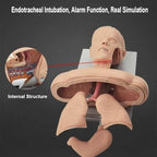 Tracheal Intubation Strain Training Simulator Model, Intubation Manikin, Intubation Head Teaching Study Manikin