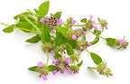 Pennyroyal Leaf - Dried Mentha pulegium Leaf C/S 100% from Nature (4 oz)