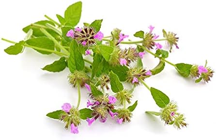 Pennyroyal Leaf - Dried Mentha pulegium Leaf C/S 100% from Nature (4 oz)