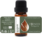Essences Bulgaria Organic Silver Fir Essential Oil 1/3 Fl Oz | 10ml | Abies alba | 100% Pure and Natural | Undiluted | Therapeutic Grade | Family Owned Farm | Steam-Distilled | Non-GMO | Vegan