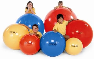 NRS Healthcare Nrs Healthcare Gym Ball
