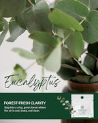Essence Wearable Aromatherapy Nasal Diffuser – Eucalyptus Essential Oil Nose Ring Silicone Inhaler for Stress & Mood Support - Made in USA & Travel-Friendly