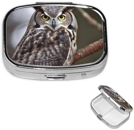 Square Round Pill Case Eastern owl Pill Box Daily 2 Compartment Travel Pill Container for Pocket Purse Portable Medicine Cod Liver Oil Storage Box 2 Times a Day Pill Organizer