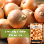Sow Right Seeds - Texas Early Grano Onion Seeds for Planting - Non-GMO Heirloom Packet with Instructions to Plant a Home Vegetable Garden - Grow Classic Yellow Short Day Onions - Kitchen Staple