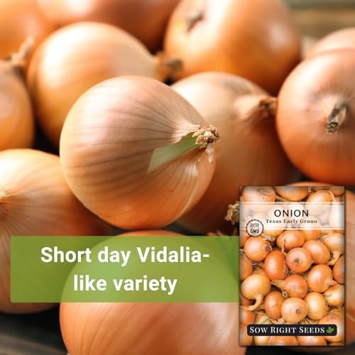 Sow Right Seeds - Texas Early Grano Onion Seeds for Planting - Non-GMO Heirloom Packet with Instructions to Plant a Home Vegetable Garden - Grow Classic Yellow Short Day Onions - Kitchen Staple