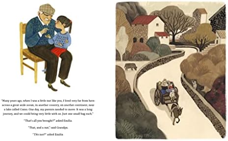 All from a Walnut: A Picture Book