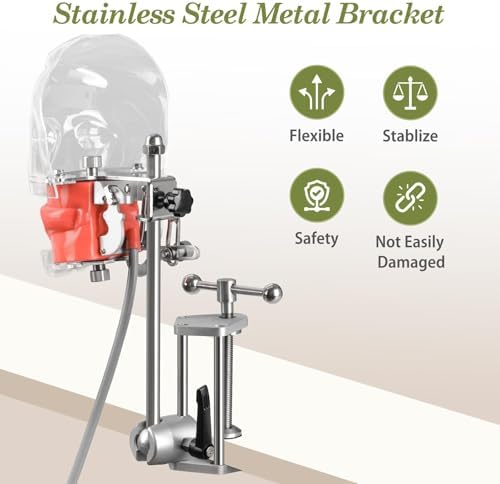 Ultrassist Dental Manikin Head with 32 Typodont Teeth Model, Dental Typodont Mount Fixed on Table, Dental Phantom Head