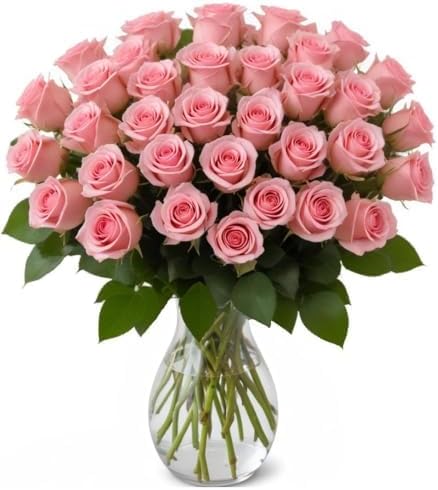 25 Pink Roses | Arabella Bouquets | Real Fresh Flowers for Delivery, Gift for Birthday Women, Congratulations, Anniversary, Thank You, Mother's Day