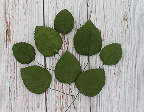 Global Sugar Art Hydrangea Leaves Sugar Cake Flowers Green Mix of Large Medium and Small, 15 Count by Chef Alan Tetreault