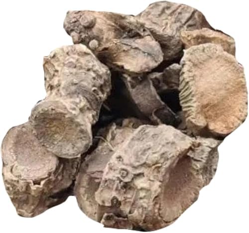 Pashan Bhed Root 100 g (3.52 oz) | Pashanbheda | Pathar Chatta | Bergenia Ligulata Roots | Dried Raw