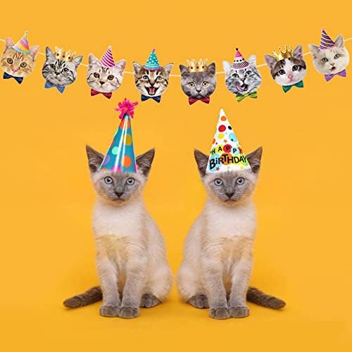 TSJ Cat Face Banner Kitty Cat Theme Birthday Party Bunting Decoration for Adoption Birthday Parties