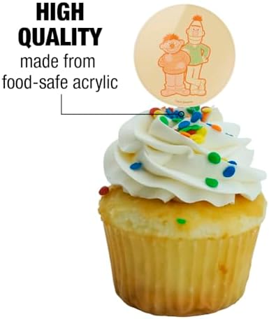 Sesame Street Bert and Ernie Distressed Cupcake Picks Toppers Decoration Set of 6
