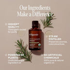 Cliganic Organic Rosemary Essential Oil, 100% Pure Natural, for Hair, Skin, Aromatherapy | Non-GMO Verified