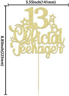 Ephlyn 1 Pack 13 Official Teenager Cake Topper Glitter Number 13 Cheers to 13 Cake Topper 13th Birthday Cake Pick Decorations for Teen 13th Birthday Party Decorations Supplies Gold