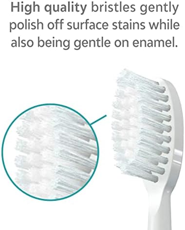 TAO Clean Sonic Electric Toothbrush Replacement Heads (3-Pack) – Replacement Heads for the TAO Clean Electric Toothbrush and Docking Station, White