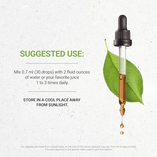 Secrets of the Tribe Celery Tincture Alcohol-Free Liquid Extract, Celery (Apium graveolens) Dried Fruit and Seed (2 FL OZ)