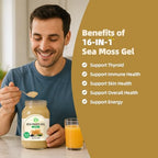 Sea Moss Gel - 18.5 oz Irish Seamoss Gel with Black Seed Oil and Ashwagandha, 16 in 1 Vegan Superfood Rich in Vitamins & Minerals, Raw Wildcrafted Seamoss for Immune & Digestion Support, Original