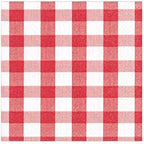 Caspari Gingham Paper Cocktail Napkins in Red, Two Packs of 20