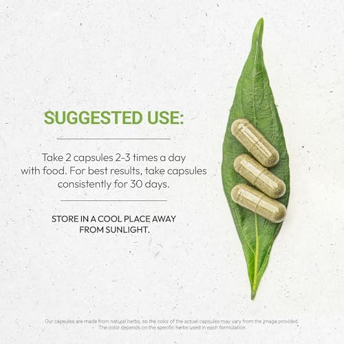 Secrets of the Tribe Birch 60 Capsules, 800 mg, Birch (Betula Pendula) Dried Leaf (60 Capsules)