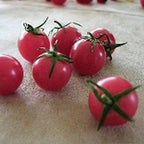 Pink Cherry Tomato Seeds - Low Acid but Very high Sugar Flavor (50 - Seeds)
