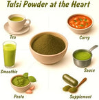 Spice Profile USDA Organic Holy Basil Powder, Lab Tested for Heavy Metals, Resealable 4oz Pouch, Tulsi, Albahaca Sagrada