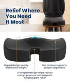 Everlasting Comfort Doctor Recommended Memory Foam Seat Cushion for Office Chairs & Car - Ergonomic Office Desk Accessories - Cushions for Tailbone Pain Relief, Sciatica (Black, Large)