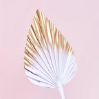 The Baked Studio - The Original Dried Palm Spears For Cake Decorating & Craft Projects (Gold & White Ombre)
