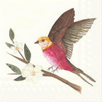 IHR Ideal Home Range Party Napkins Disposable 3-Ply Paper Lunch Napkin Pack, 6.5" x 6.5", Red Bird And Blossoms, 20-Count