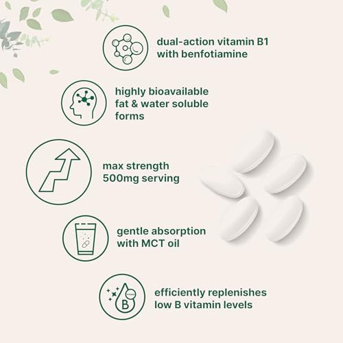 Micro Ingredients Vitamin B1 Thiamine 500mg with Benfotiamine & MCT Oil, 240 Softgels | Highly Bioavailable Thiamine Supplement for Energy & Nervous System Support* | Non-GMO, Soy Free