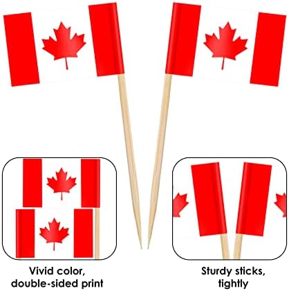 AhfuLife Canada Flag Toothpick Flags Picks, 100 Pcs Small Tiny Canada Cupcake Toppers Stick Flags Double-sided for World Cup, National Day, Birthday Party Decorations, Cake Flags