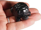 RICHRAIN Shungite Crystals Shungite Stones Feng Shui Turtle Carving for Home or Office Desk Decor