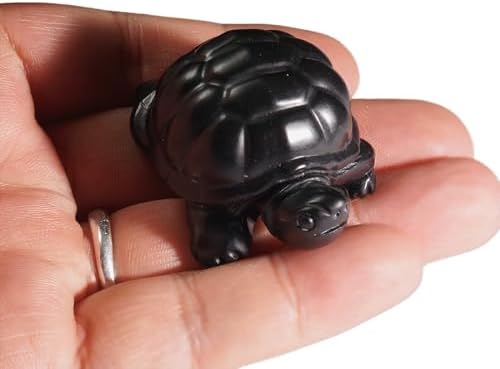 RICHRAIN Shungite Crystals Shungite Stones Feng Shui Turtle Carving for Home or Office Desk Decor