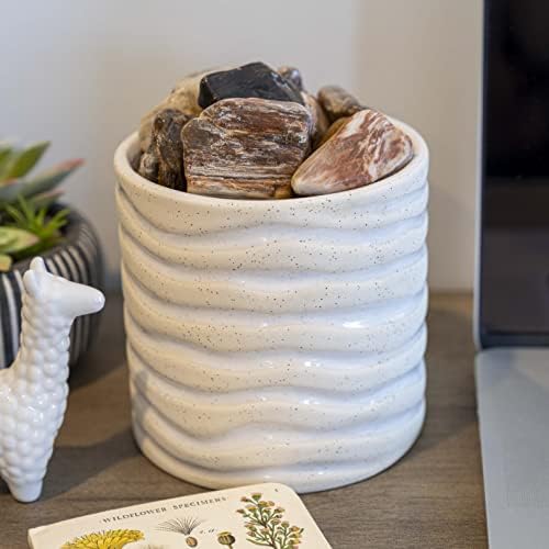 Crystal Allies Materials: 1 Pound Bulk Half Tumbled Petrified Wood Crystal Reiki Healing Stones Large 1"