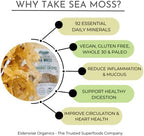 IRISH Sea Moss from Ireland | WILDCRAFTED | Chondrus Crispus | Raw Irish Moss | Golden