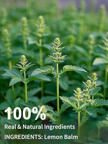 TeeLux Lemon Balm Tea Bags, Pure & Natural Lemon Balm Herbal Tea, Lemony & Citrusy Flavor, Caffeine Free, 100 Count