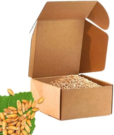 PlainGrains. The Natural Way | 2.5 LB Dry Spelt Wheat Berries | 14.5% Protein by Volume | Uncooked, Unground, Whole Grain | Single Box