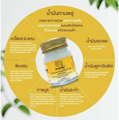 Chang Thai White Ointment Herbal Balm Massage Muscle Temporary Relief 50g