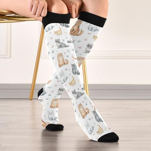 Plaaee Compression Socks for Women & Men Cute Colorful Kittens Knee High Stocking for Sports Running Travel Nurses
