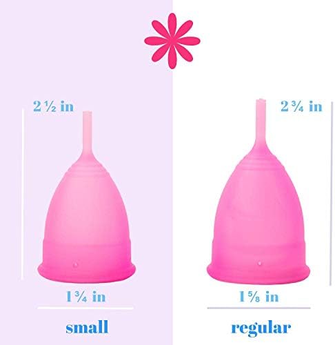 Menstrual Cup - Reusable Soft Menstrual Cups Provide 12 Hour Leak Free Protection - Eco Friendly Tampon & Pad Alternative - Includes 1 Regular Size Period Cup for Normal to Heavy Period Flow