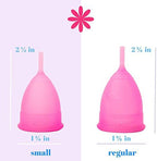 Menstrual Cup - Reusable Soft Menstrual Cups Provide 12 Hour Leak Free Protection - Eco Friendly Tampon & Pad Alternative - Includes 1 Small Sized Period Cup for Light to Normal Period Flow