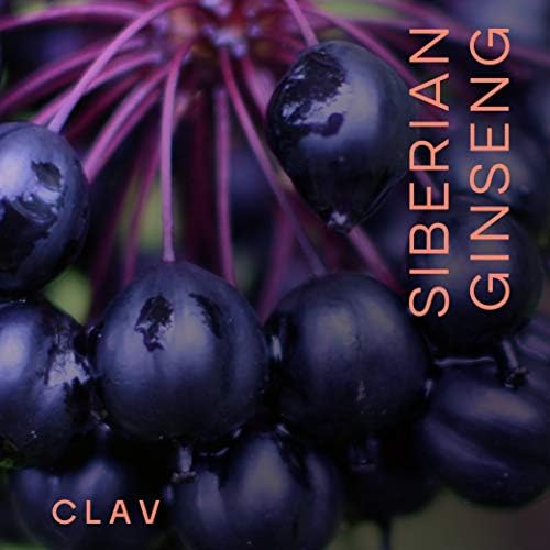 CLAV® Siberian Ginseng - 900mg Eleuthero Root Powder - Energy Supplement - Reduction of Tiredness & Fatigue - 60 Ginseng Capsules - Made in Germany
