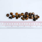 3Lb Tiger's Eye Tumbled Stones Small Natural Polished Crystal Gemstones Chips Decorative Pebbles Bulk for Home Decor,Vase Filler,Fish Turtle Tank,Plants Decor,Jewelry Making,Reiki Healing